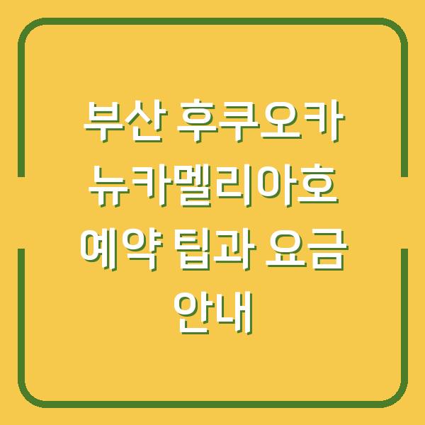 부산 후쿠오카 뉴카멜리아호 예약 팁과 요금 안내