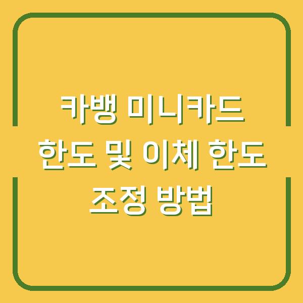 카뱅 미니카드 한도 및 이체 한도 조정 방법