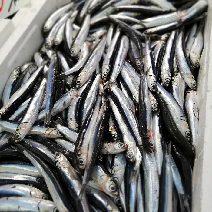 제철 해산물