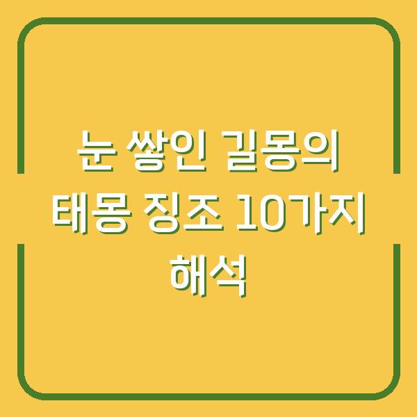 눈 쌓인 길몽의 태몽 징조 10가지 해석