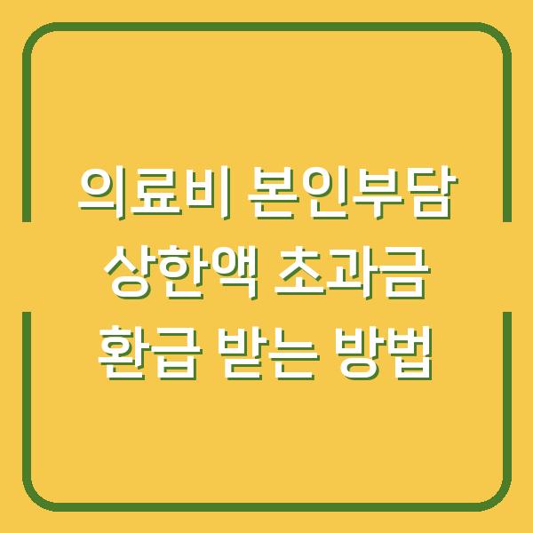 의료비 본인부담 상한액 초과금 환급 받는 방법