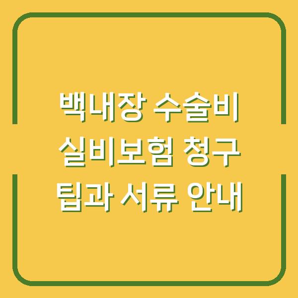 백내장 수술비 실비보험 청구 팁과 서류 안내