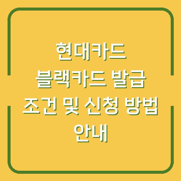 현대카드 블랙카드 발급 조건 및 신청 방법 안내