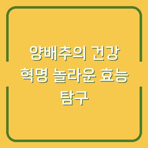 양배추의 건강 혁명 놀라운 효능 탐구