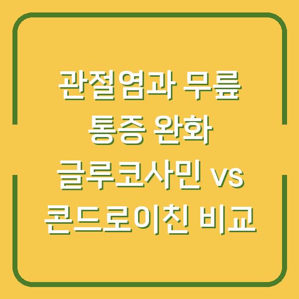 관절염과 무릎 통증 완화 글루코사민 vs 콘드로이친 비교