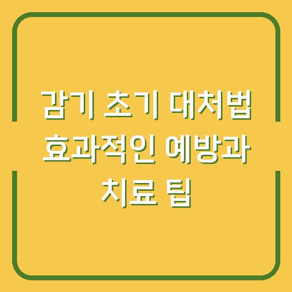 감기 초기 대처법 효과적인 예방과 치료 팁