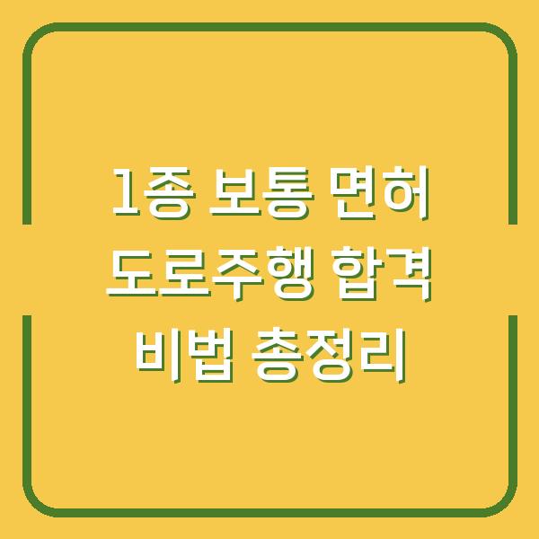 1종 보통 면허 도로주행 합격 비법 총정리