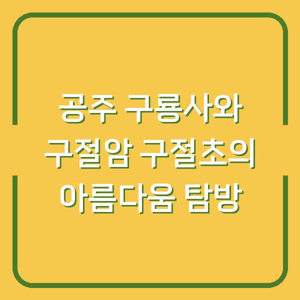 공주 구룡사와 구절암 구절초의 아름다움 탐방