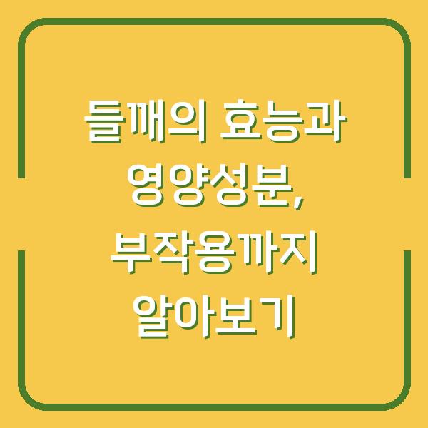 들깨의 효능과 영양성분, 부작용까지 알아보기