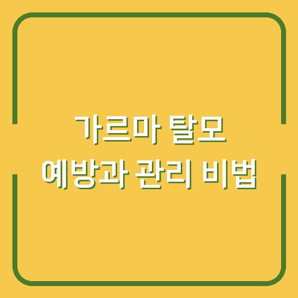 가르마 탈모 예방과 관리 비법
