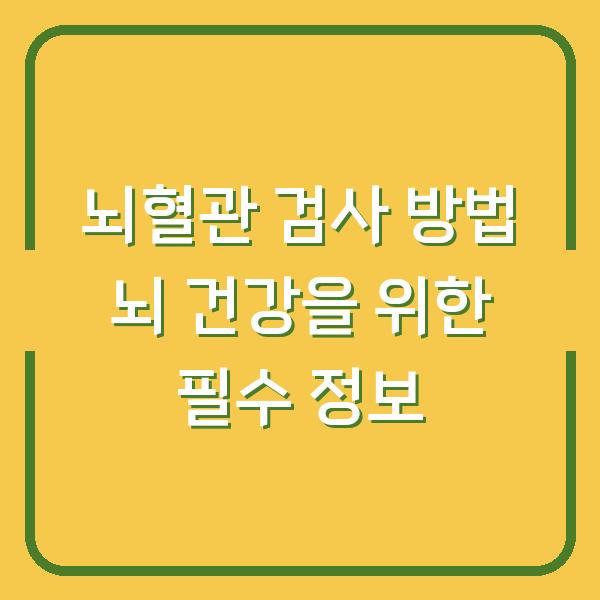 뇌혈관 검사 방법 뇌 건강을 위한 필수 정보