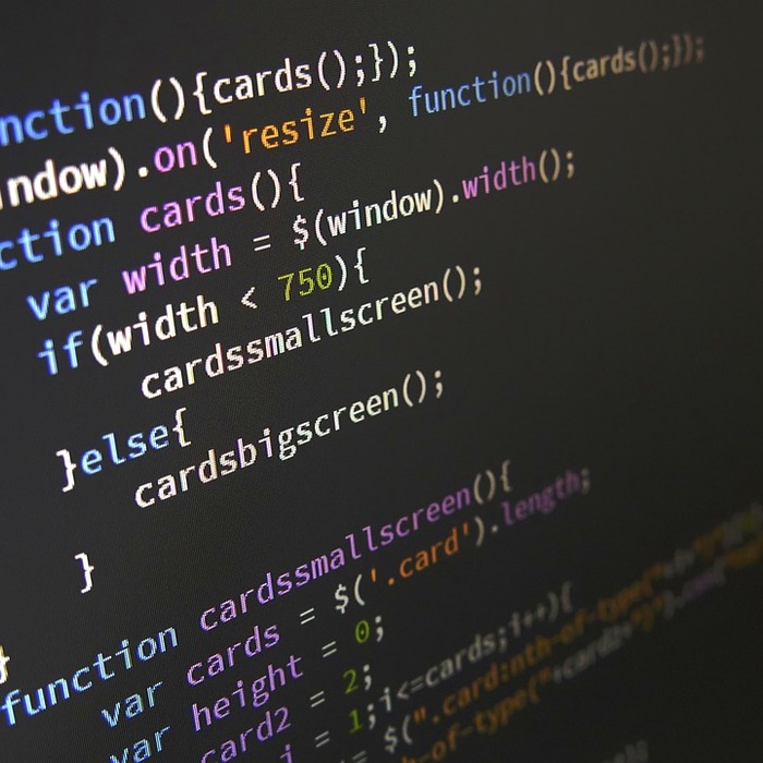 JavaScript 코드