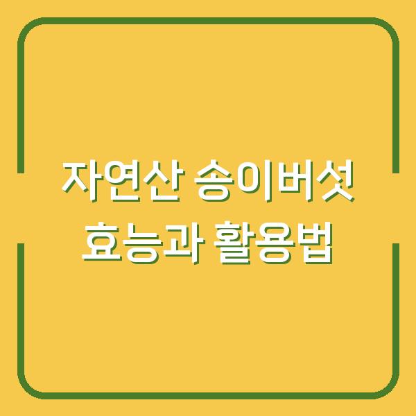 자연산 송이버섯 효능과 활용법