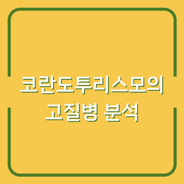 코란도투리스모의 고질병 분석