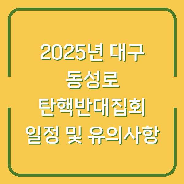 2025년 대구 동성로 탄핵반대집회 일정 및 유의사항