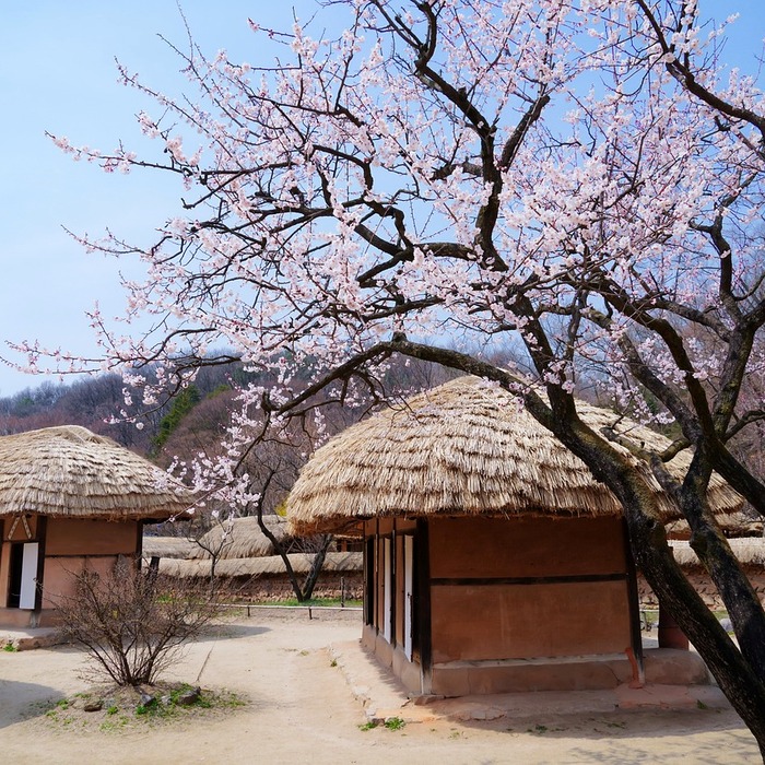 한국민속촌 전통 공연