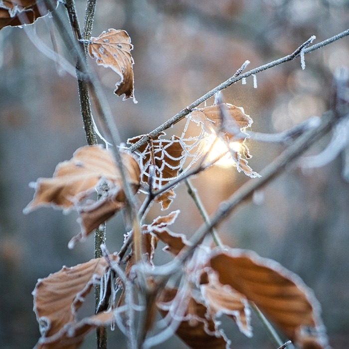 최대 심박수 계산
