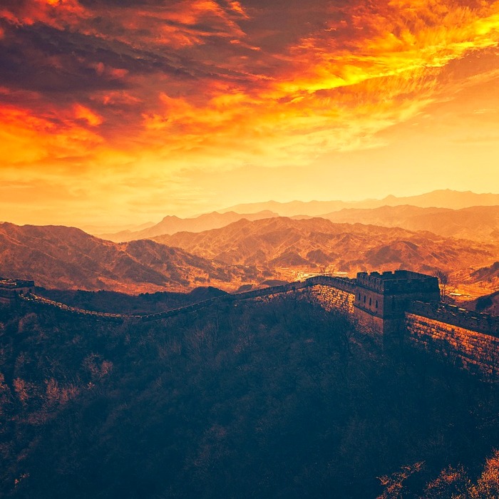 면역력 강화