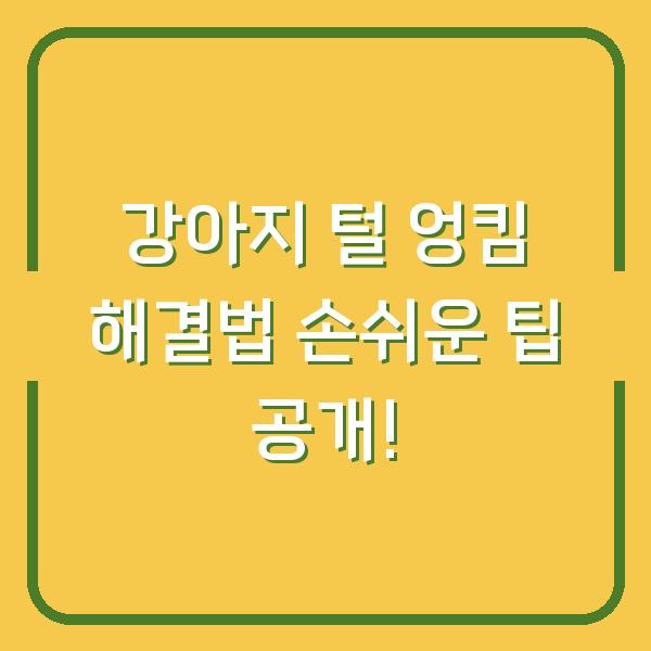 강아지 털 엉킴 해결법 손쉬운 팁 공개!