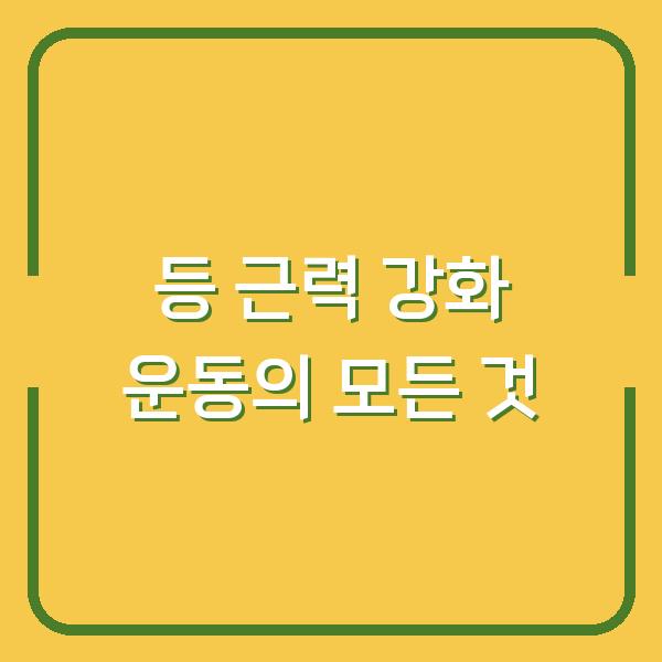 등 근력 강화 운동의 모든 것
