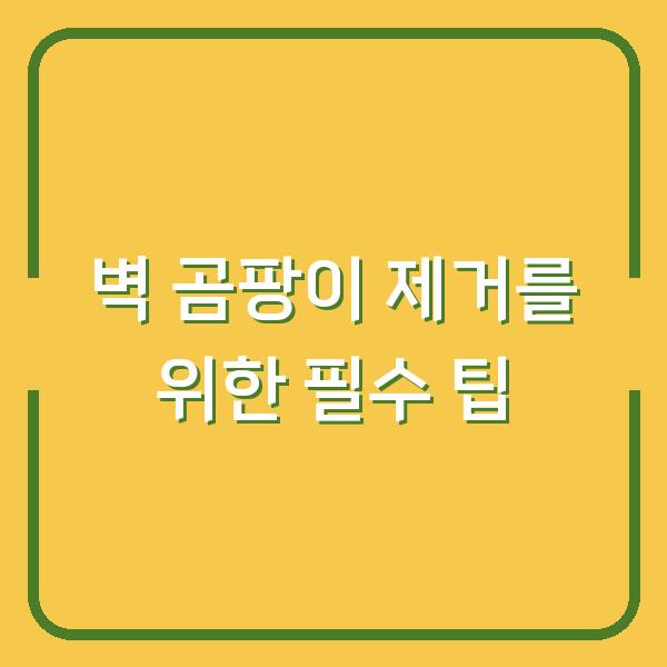 벽 곰팡이 제거를 위한 필수 팁