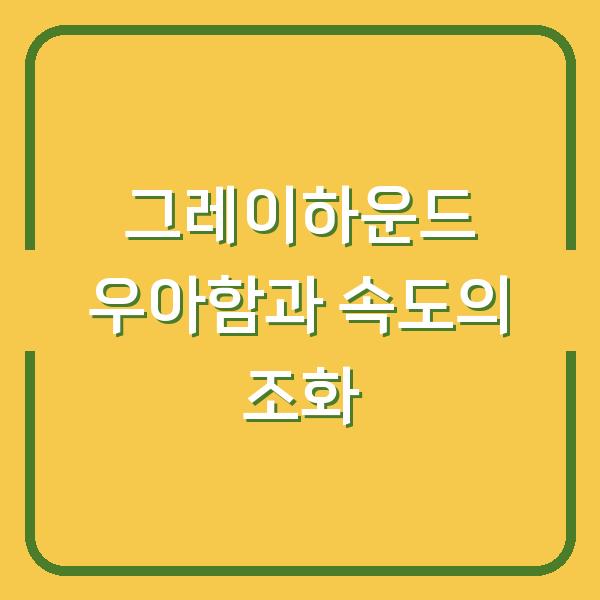 그레이하운드 우아함과 속도의 조화