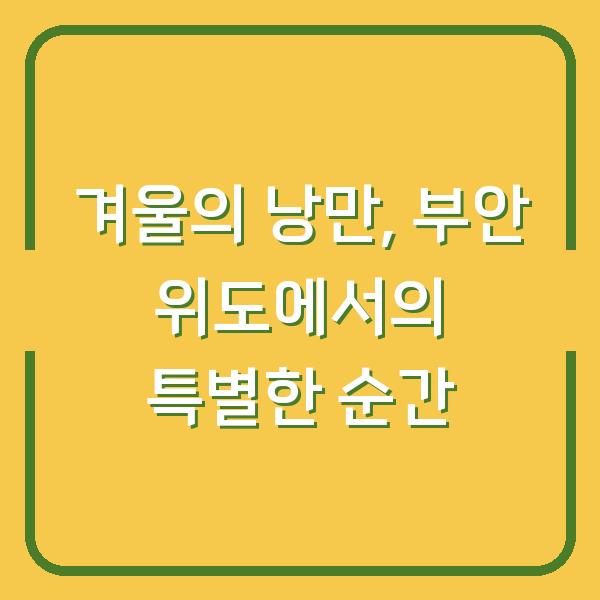 겨울의 낭만, 부안 위도에서의 특별한 순간