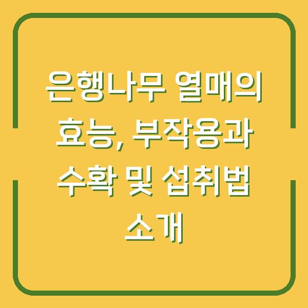 은행나무 열매의 효능, 부작용과 수확 및 섭취법 소개
