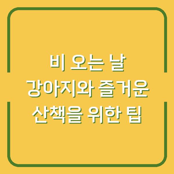 비 오는 날 강아지와 즐거운 산책을 위한 팁