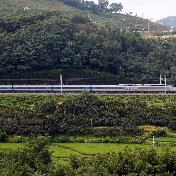 KTX 기차 여행