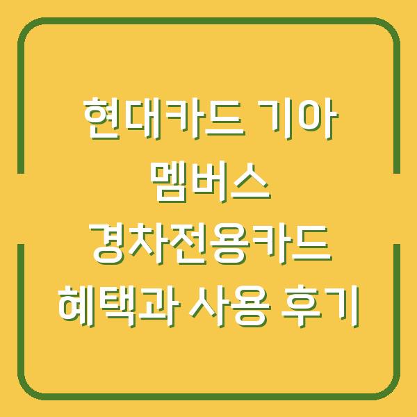 현대카드 기아 멤버스 경차전용카드 혜택과 사용 후기