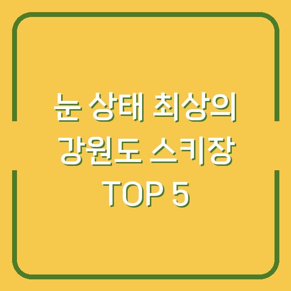 눈 상태 최상의 강원도 스키장 TOP 5