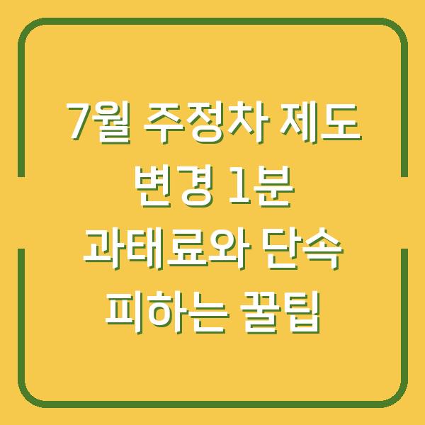 7월 주정차 제도 변경 1분 과태료와 단속 피하는 꿀팁