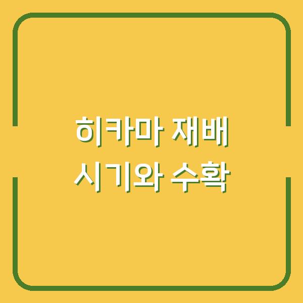 히카마 심는 시기와 수확 시기 놓치면? 실패 없는 재배 & 보관법