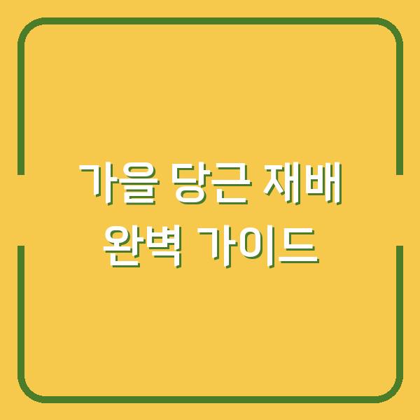 가을 당근 심는시기와 재배 방법, 수확 시기까지 한 번에 정리