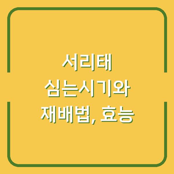 중부지방 서리태 심는시기와 재배법, 서리태 효능까지 놓치면 후회할 3가지
