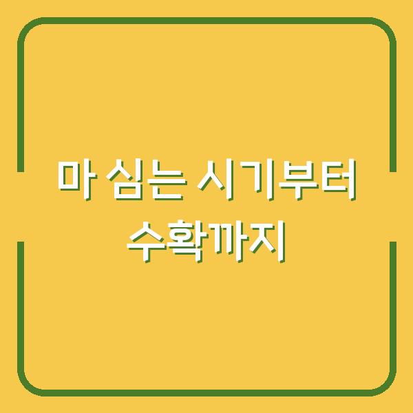 마 심는 시기부터 수확까지, 초보도 실패 없는 하늘마·산마 재배법
