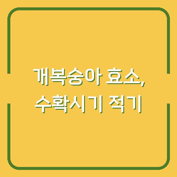 개복숭아 수확시기 놓치면 효소 효능 반토막, 지금 담가야 하는 이유