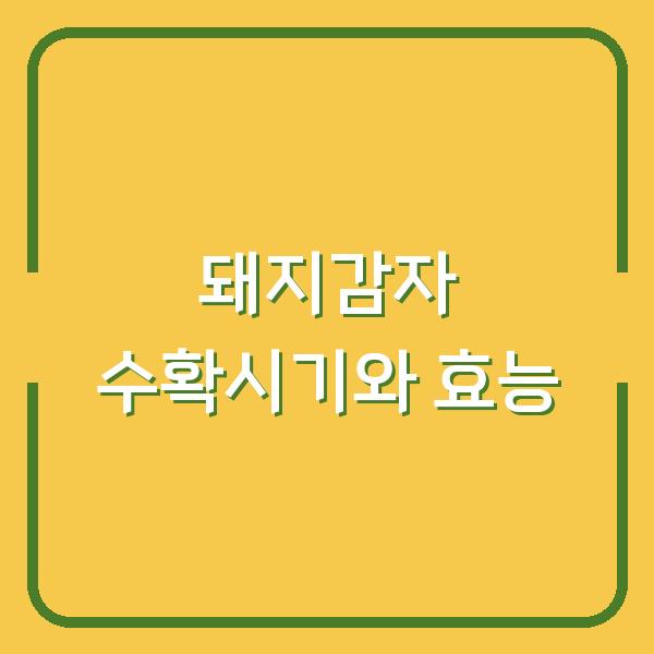 돼지감자, 수확시기 놓치면 효능 반토막? 재배법과 활용법까지