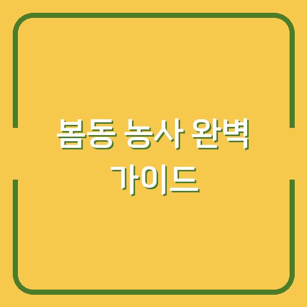 봄동 농사, 3년 경력 주부가 알려주는 심는 시기부터 수확 요리법까지