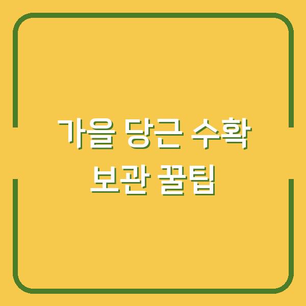 가을 당근, 지금 캐야 맛있다! 수확부터 오래 보관하는 실전 꿀팁