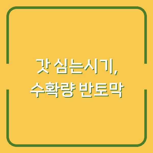 갓 심는시기 늦추면 수확량 반토막…파종 방법부터 재배 기간까지 실수 줄이는 핵심