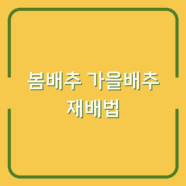 봄배추 vs 가을배추, 심는 시기부터 물주기·거름주기까지 실전 재배법