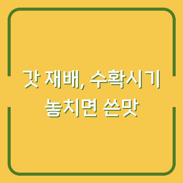 갓 재배, 수확시기 놓치면 쓴맛 납니다 — 지금 심어야 하는 이유