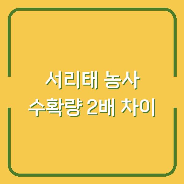 서리태 농사, 심는 시기와 수확 시기만 알면 수확량 2배 차이납니다