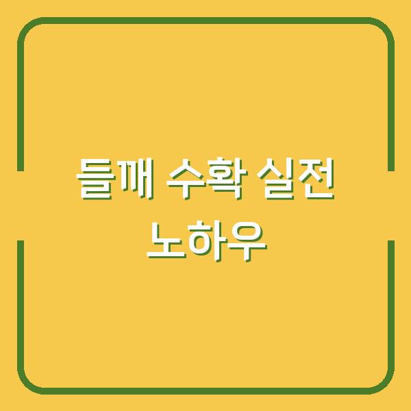 들깨 수확시기, 베는 방법부터 말리기·털기까지 농가 실전 노하우