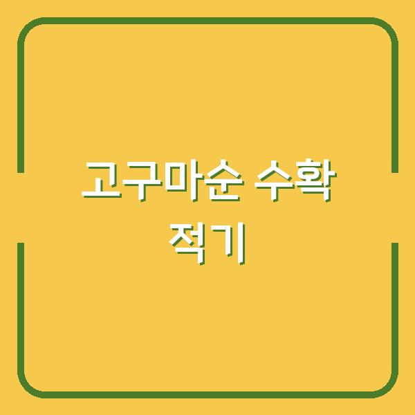 고구마순, 지금 수확해야 맛있다 – 심는 시기부터 저장까지 실패 없는 방법