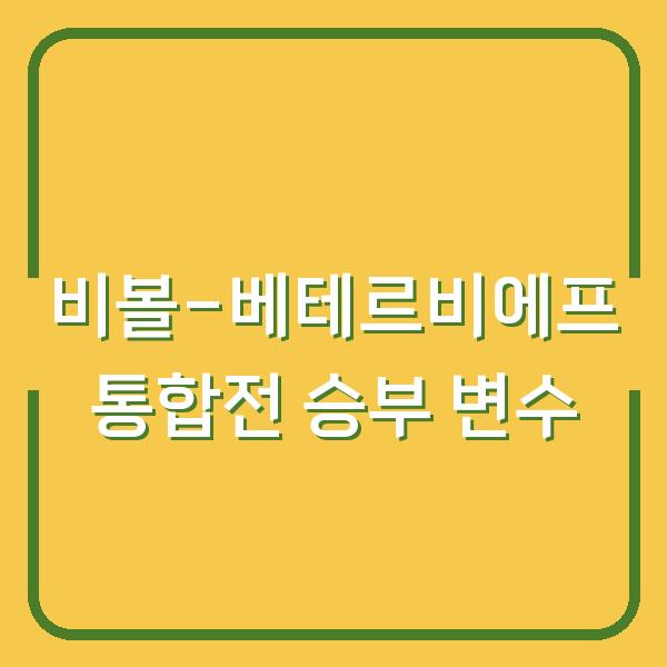 비볼 vs 베테르비에프 라이트헤비급 통합전 승부를 가를 결정적 변수 3가지