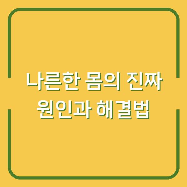 나른한 몸의 진짜 원인은? 당신이 놓친 3가지와 바로 시작할 해결법
