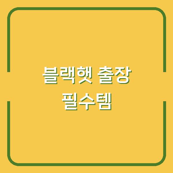 2026 블랙햇 출장 꼭 사야 할 미국 쇼핑템 10